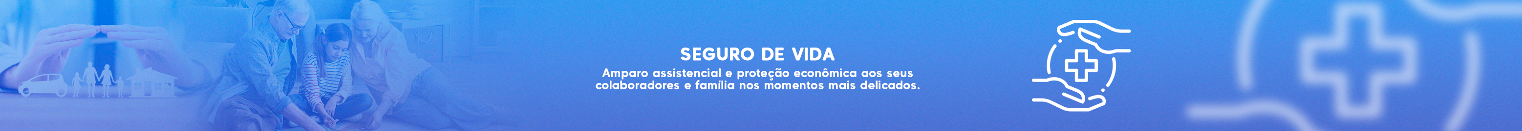 BANNER seguro